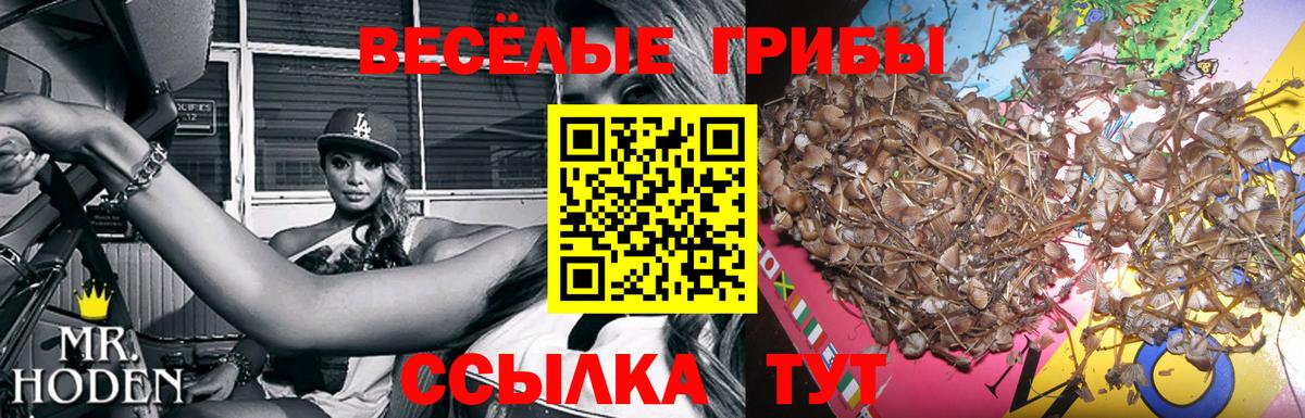 Псилоцибиновые грибы ЛСД Щёлково