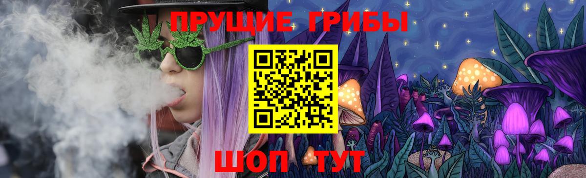 Псилоцибиновые грибы GOLDEN TEACHER  купить закладку  Щёлково  Вход с VPN  Псилоцибиновые грибы Psilocybe 